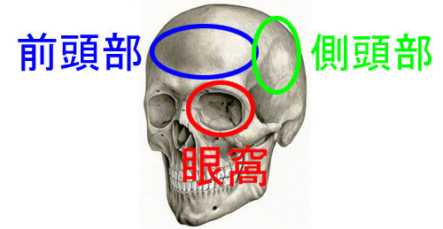 群発頭痛の痛みの出る部分